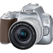 Canon EOS 250D Kit (EF-S 18-55mm STM) (Silver)
