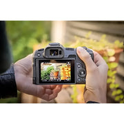 Canon EOS R8 Body