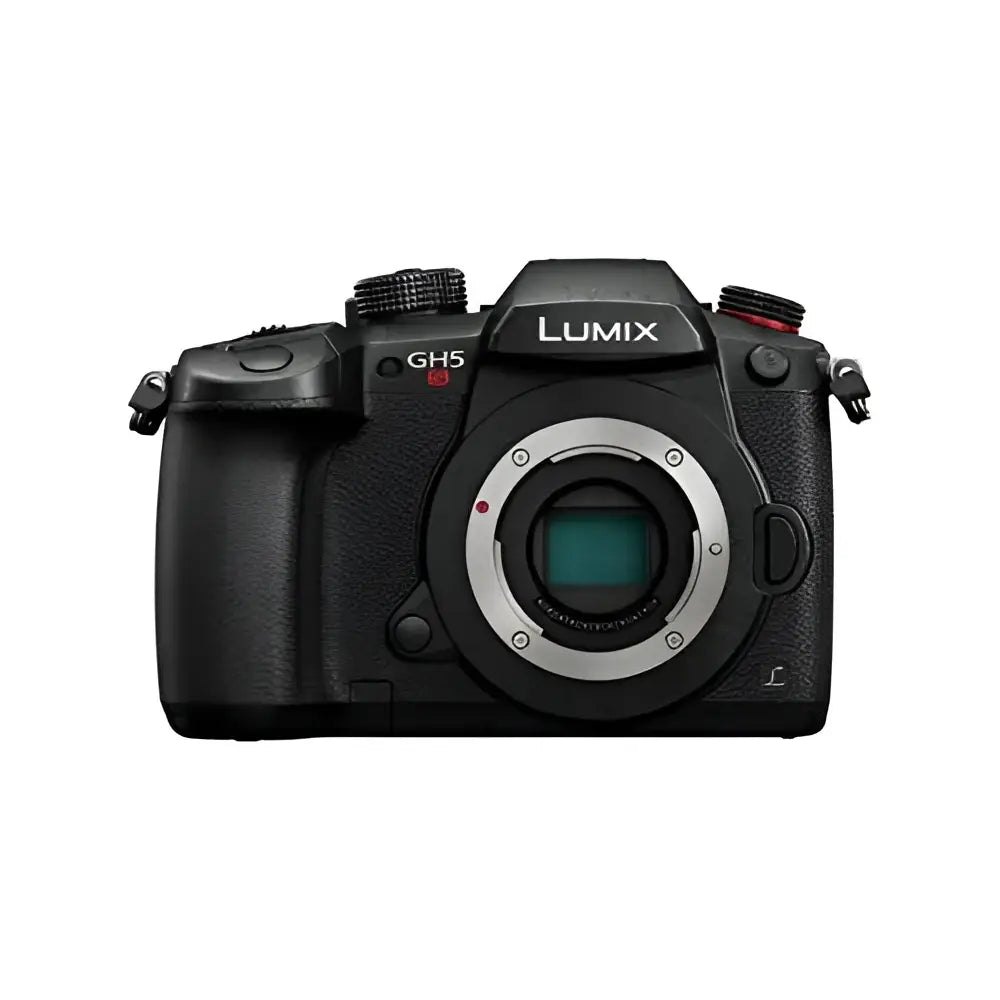 Panasonic Lumix DMC GH5S Body (DC-GH5S)