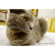 Tokina ATX-M 11-18mm F/2.8 Lens (Sony E)